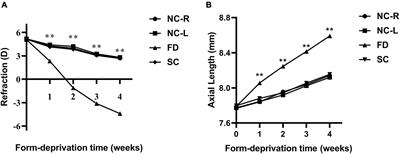 The Changes of KCNQ5 Expression and Potassium Microenvironment in the Retina of Myopic Guinea Pigs